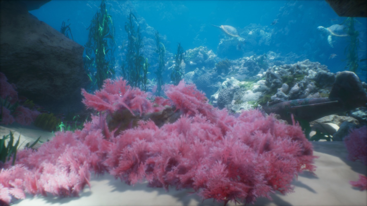 Media 1 for listing Underwater Ocean Environment