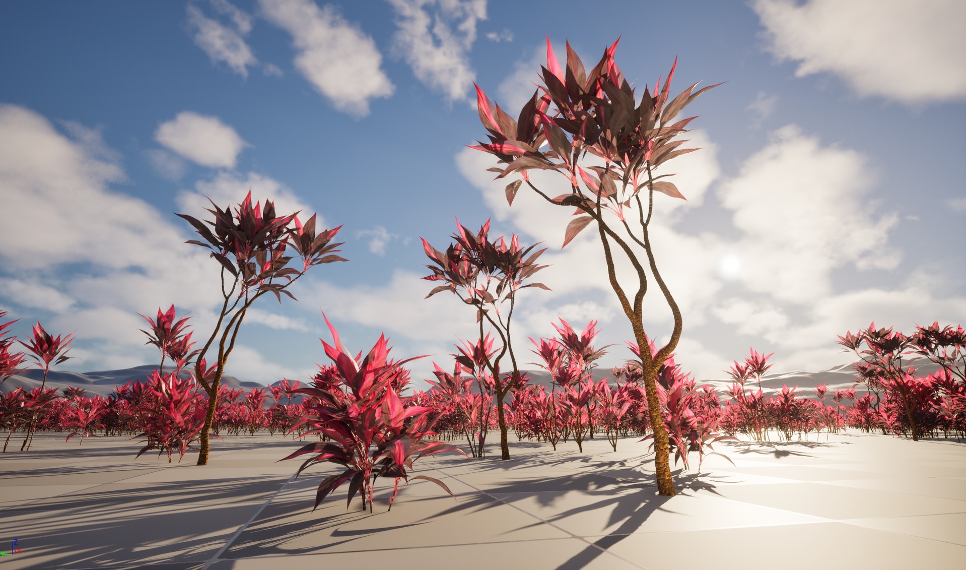 Media 1 for listing UE5 Wind Plants - Cordyline rubra - palm lily (Highpoly + Low Poly)