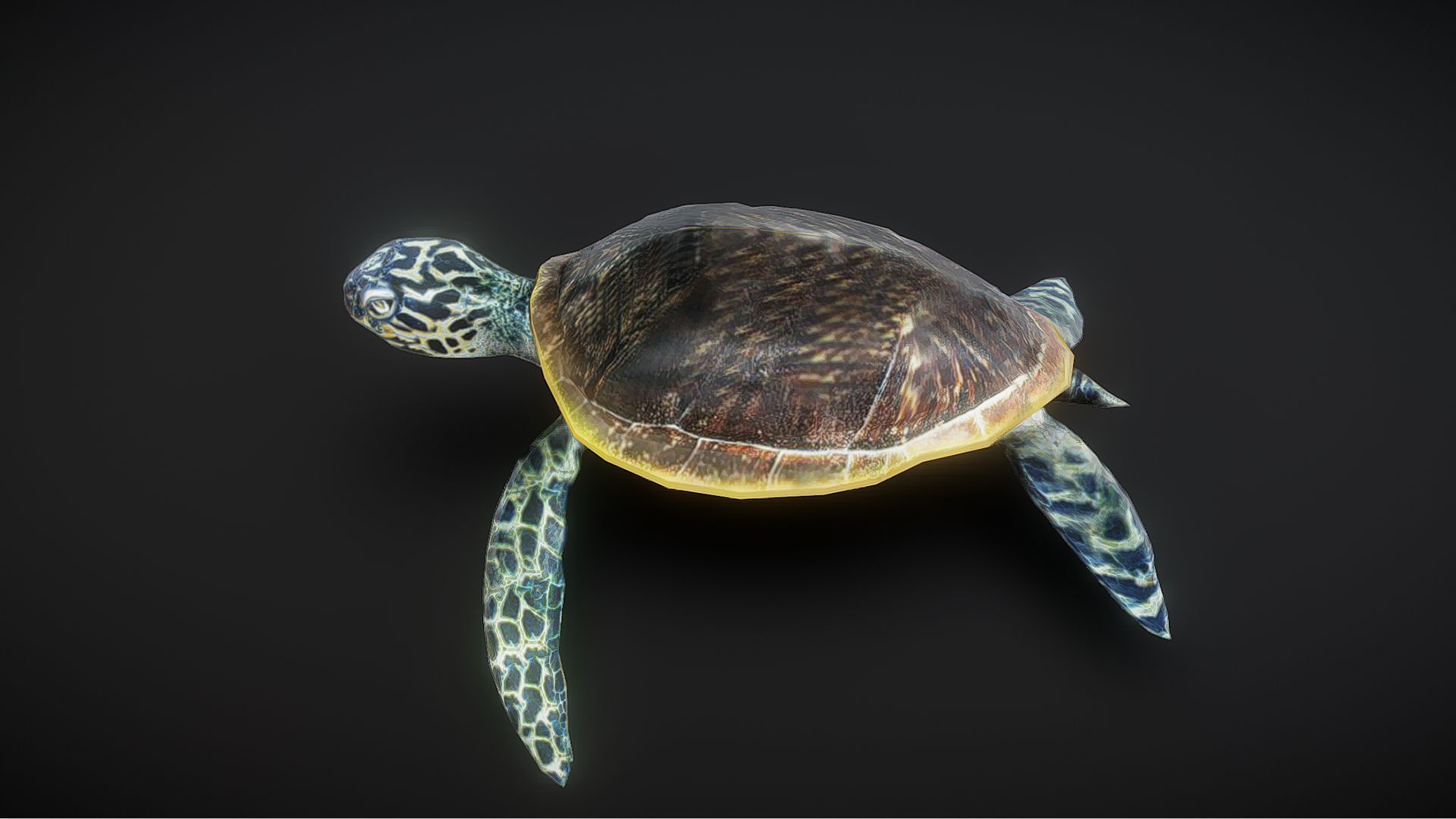 Turtle Animation C422 | Fab
