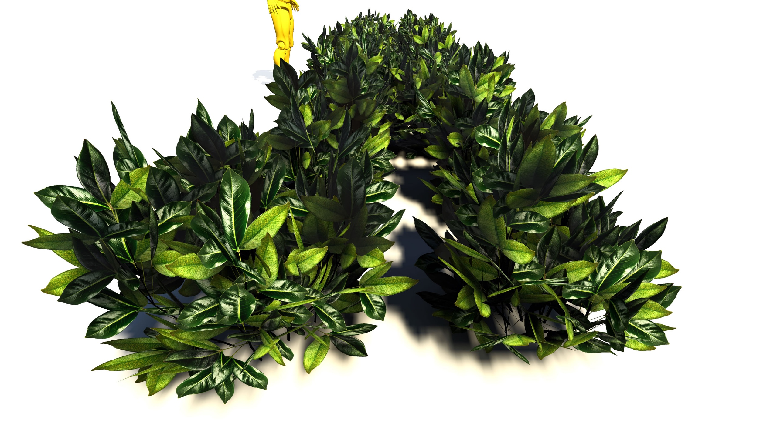 Media 1 for listing BushGen04-Bushes06