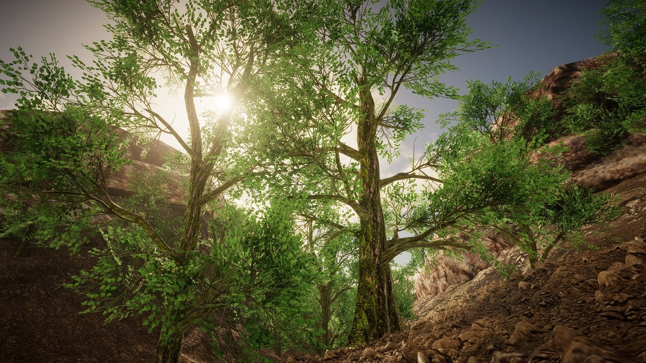 Media 1 for listing HighPoly Tree Pack #8