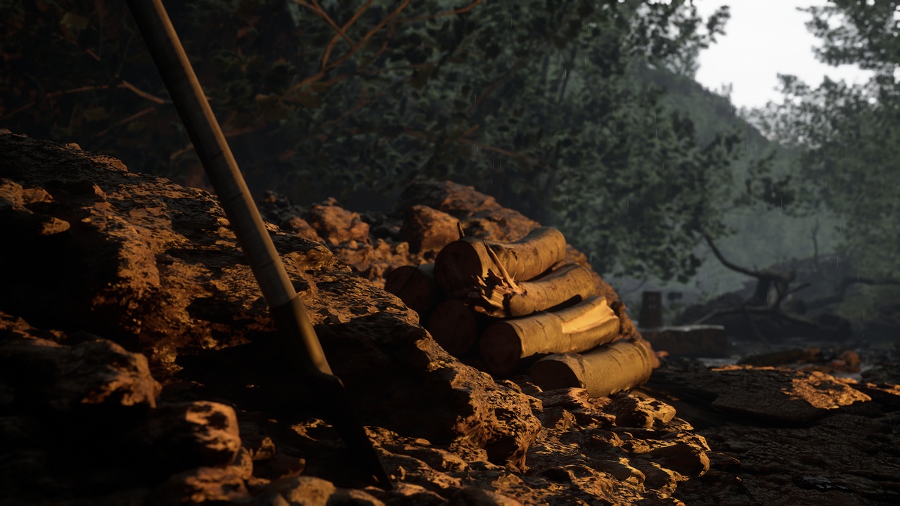 File multimediali per l'articolo NATURE - Rain Cave: 1