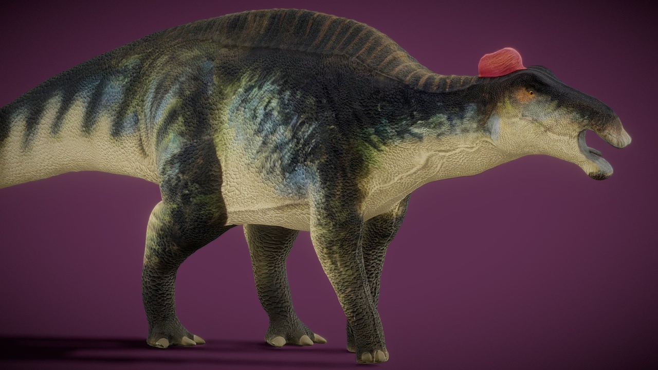 Media 1 for listing Animated Edmontosaurus