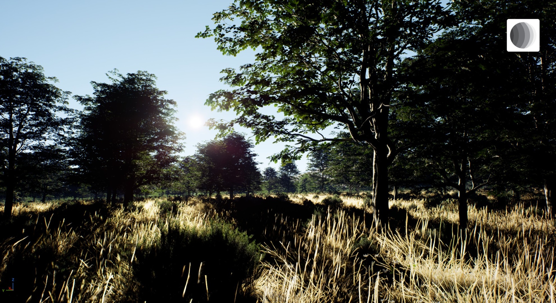 Media 1 for listing Metaplanets Creator for Unreal