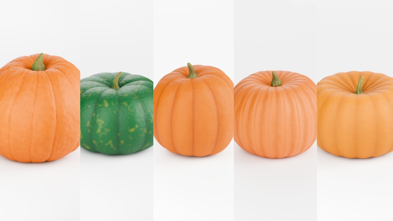 Media 1 for listing Realistic Stylized Pumpkin Set