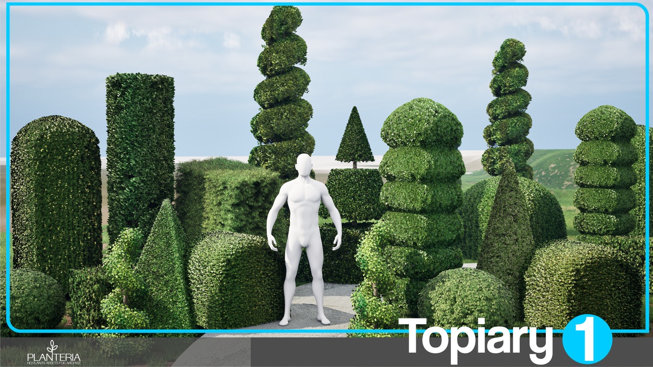 Media 1 for listing Topiary 1