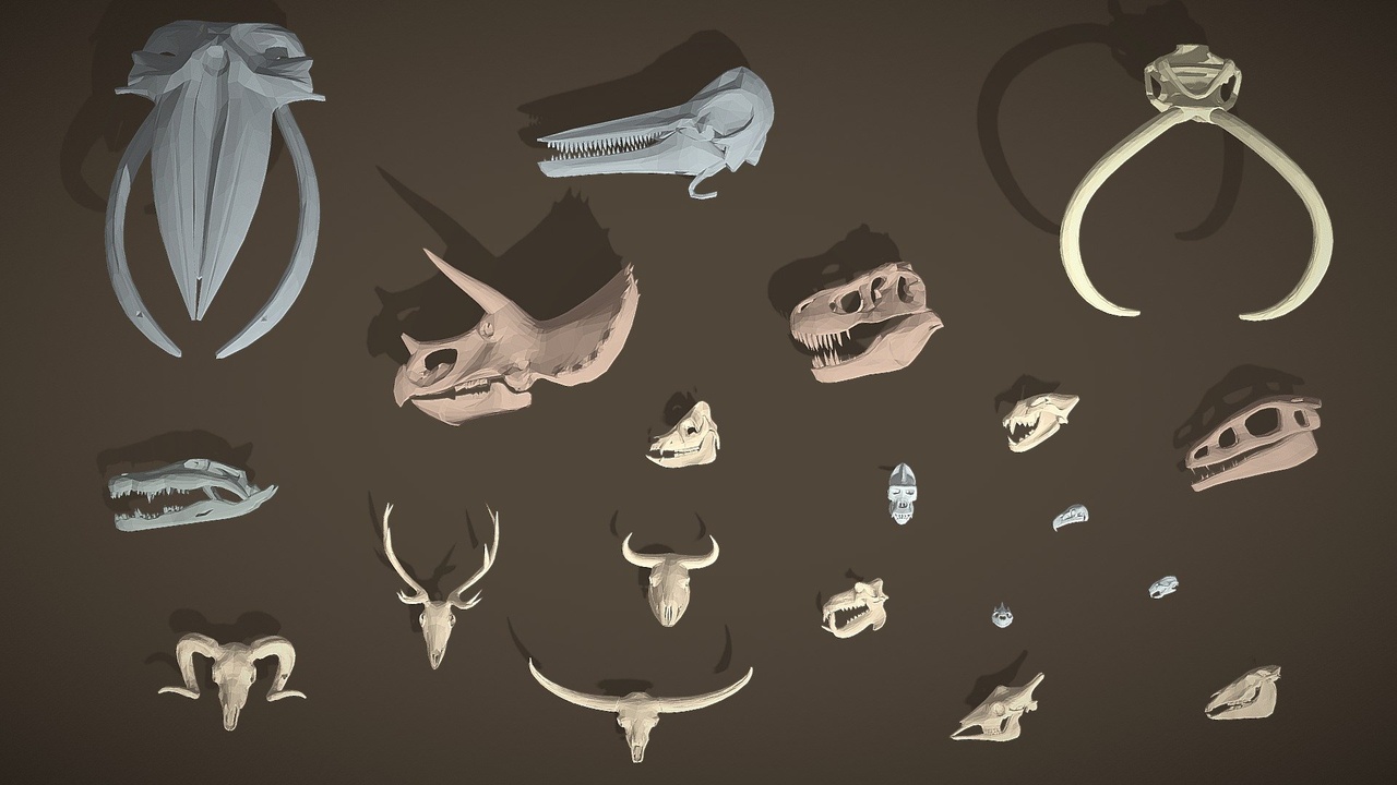 Media 1 for listing Props Pack - Skulls