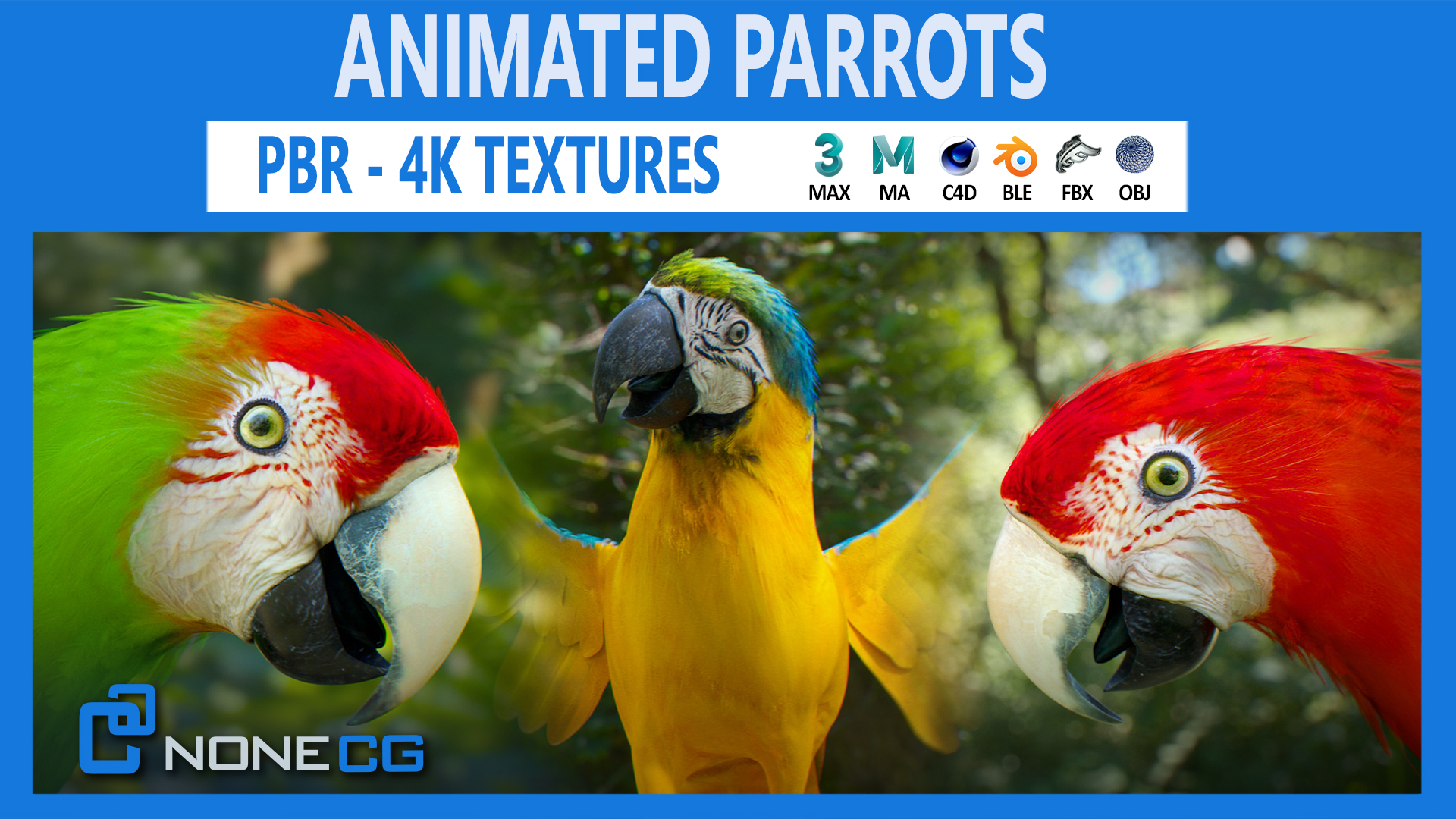 Animated Blue, Red and Wild Parrots | Fab