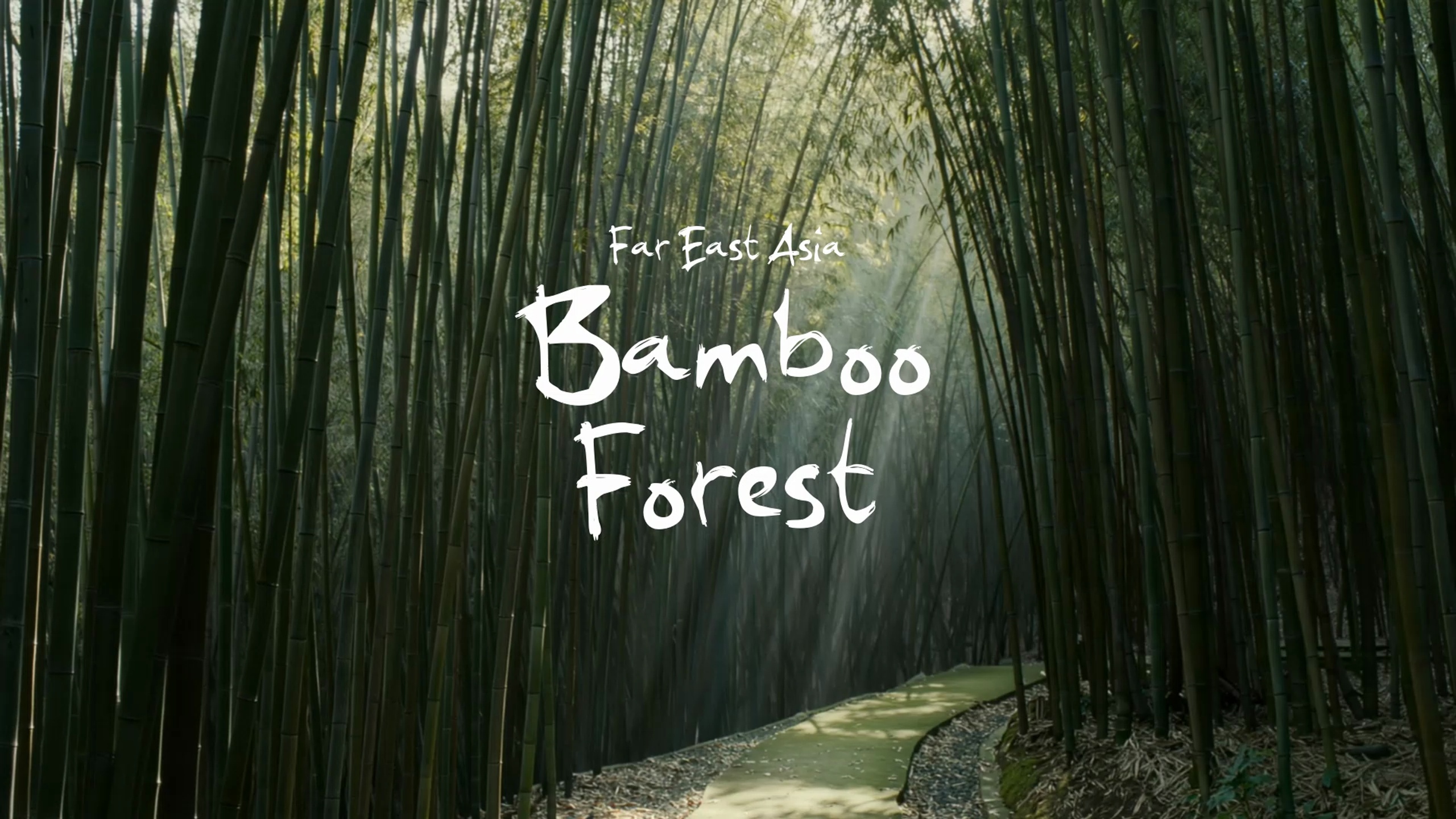 Media 1 for listing Bamboo Forest / Far East Asia