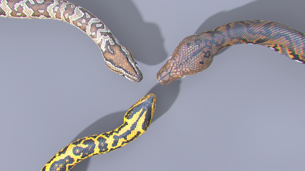 Media 1 for listing Animated Pythons Volume 3