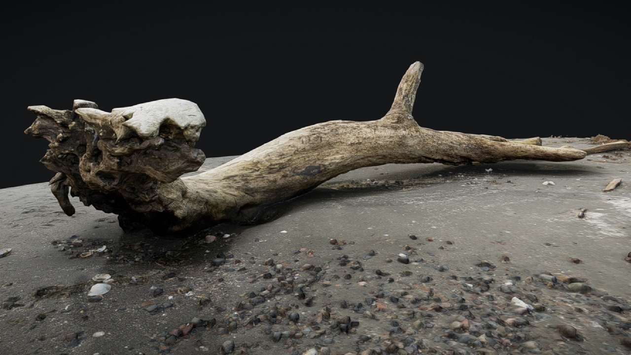 Média 1 pour l'article Driftwood