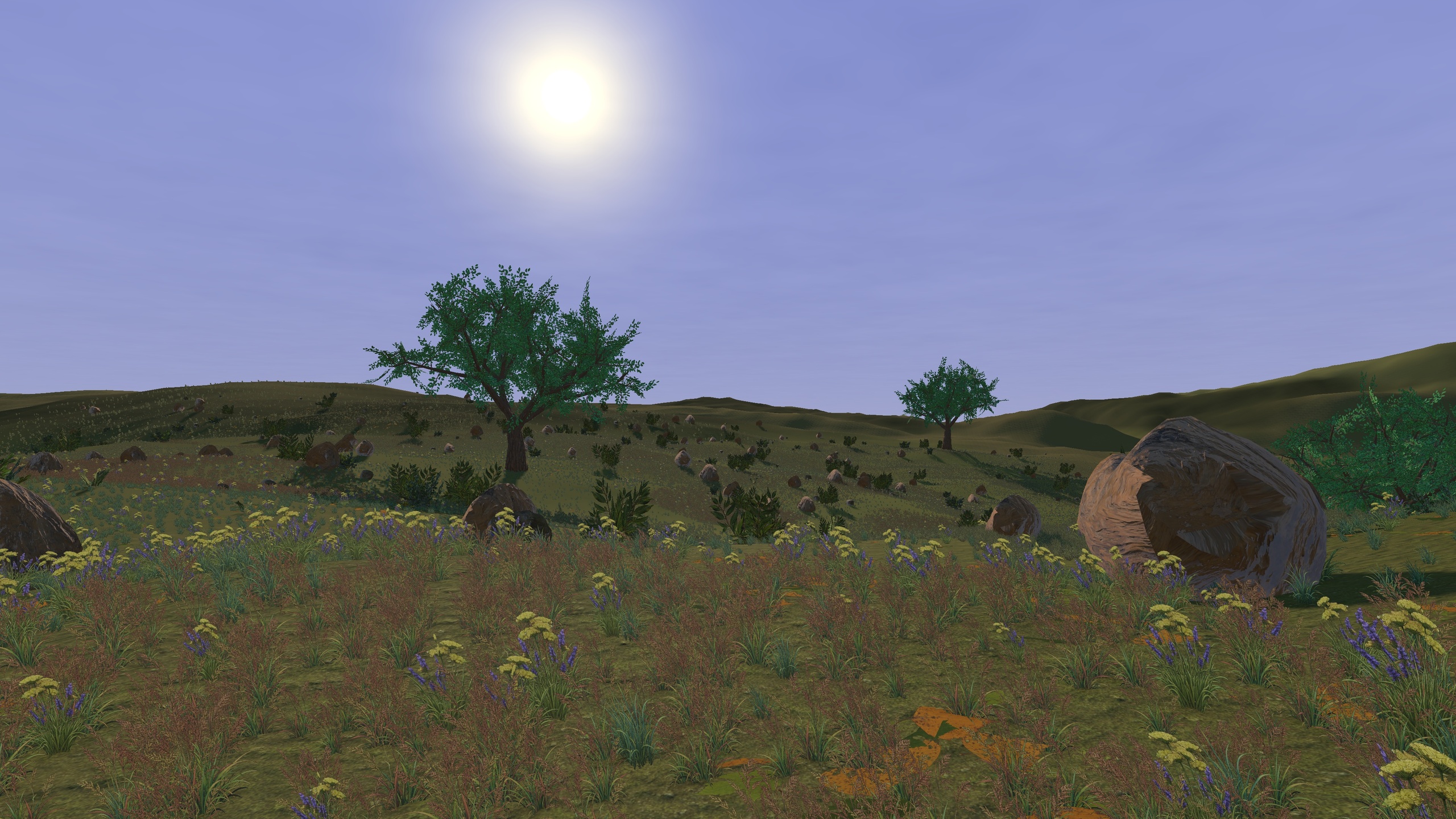 Media 1 for listing Runtime World Generation