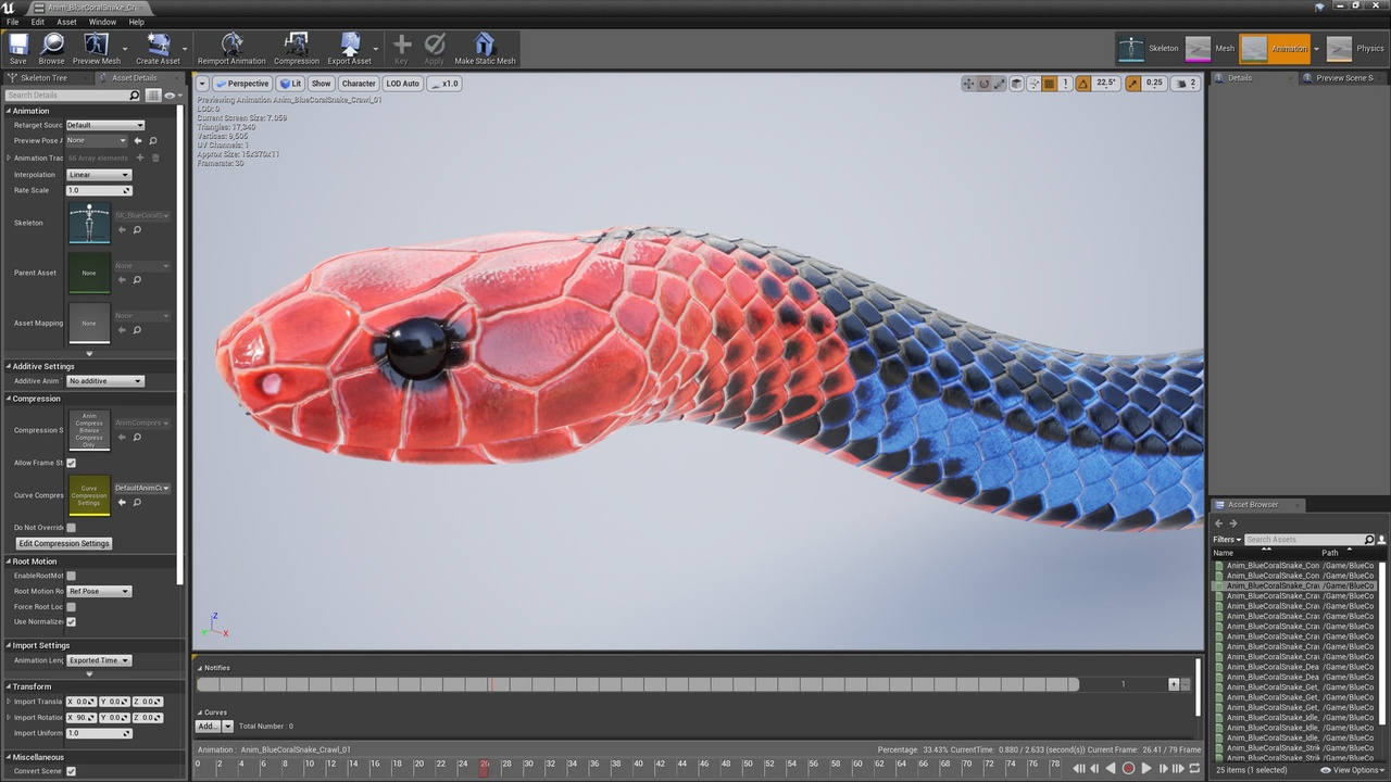 Media 1 for listing Blue Coral Snake