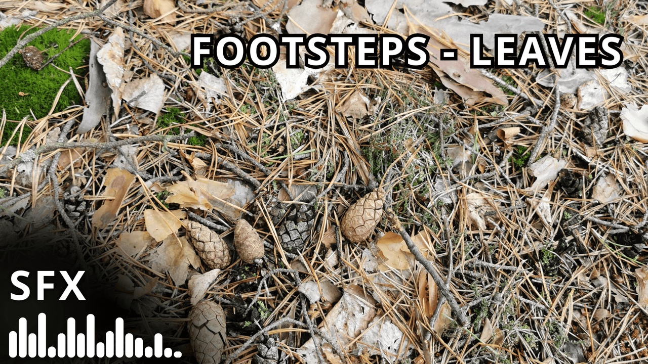الوسائط 1 للقائمة Footsteps - Leaves (SFX)