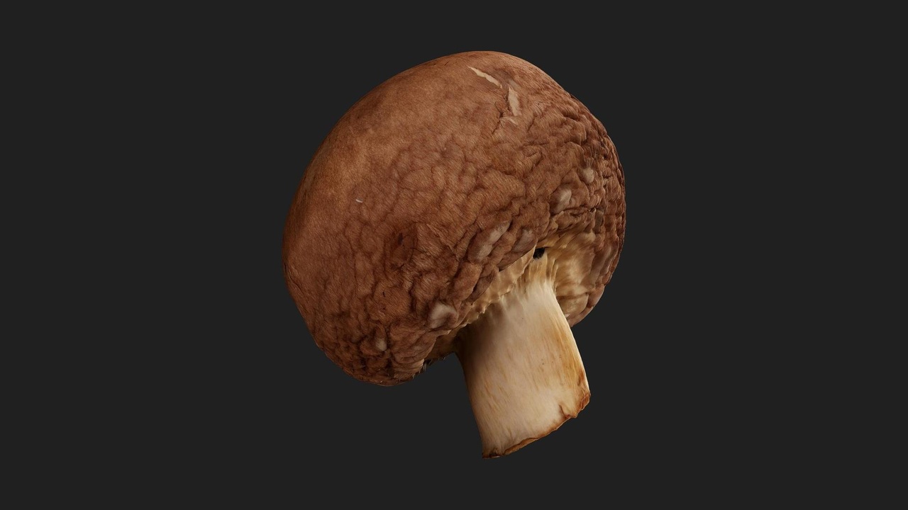 商品 Gilled Mushroom 的媒体 1