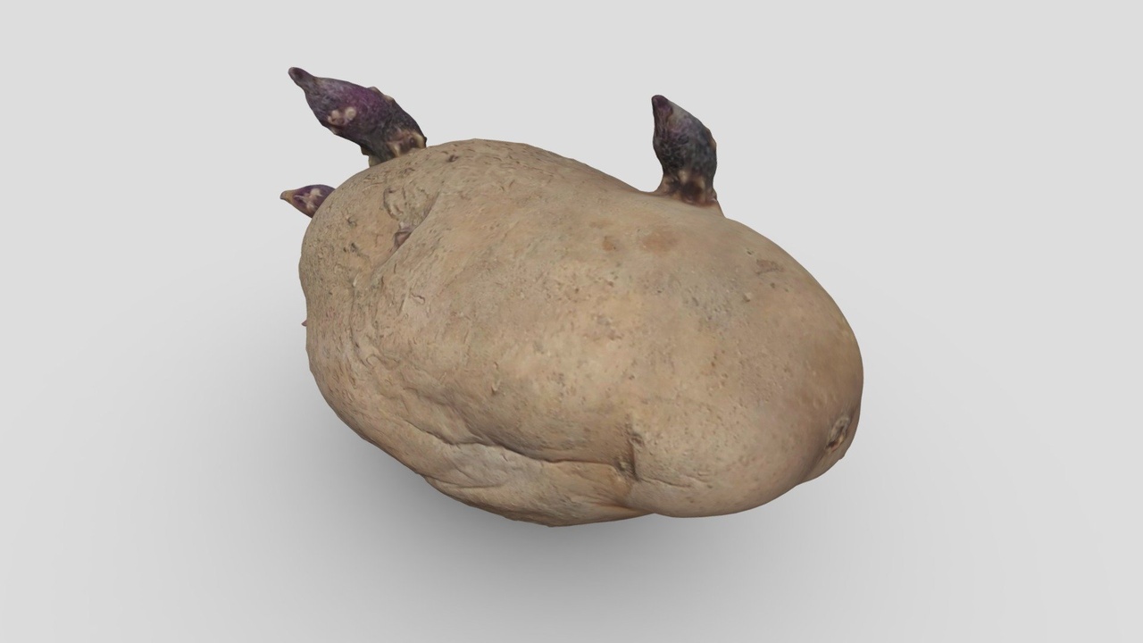 Media 1 for listing Sprouted Potato