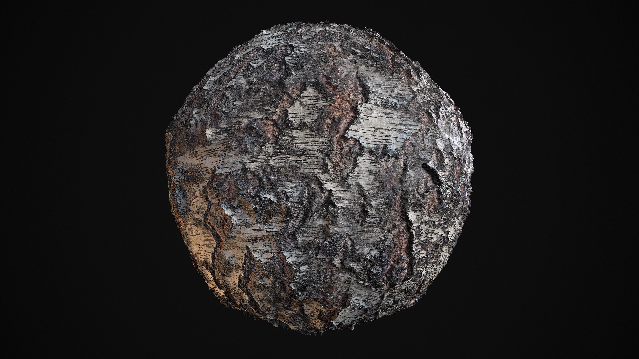 Media 1 for listing Birch Bark - Photogrammetry