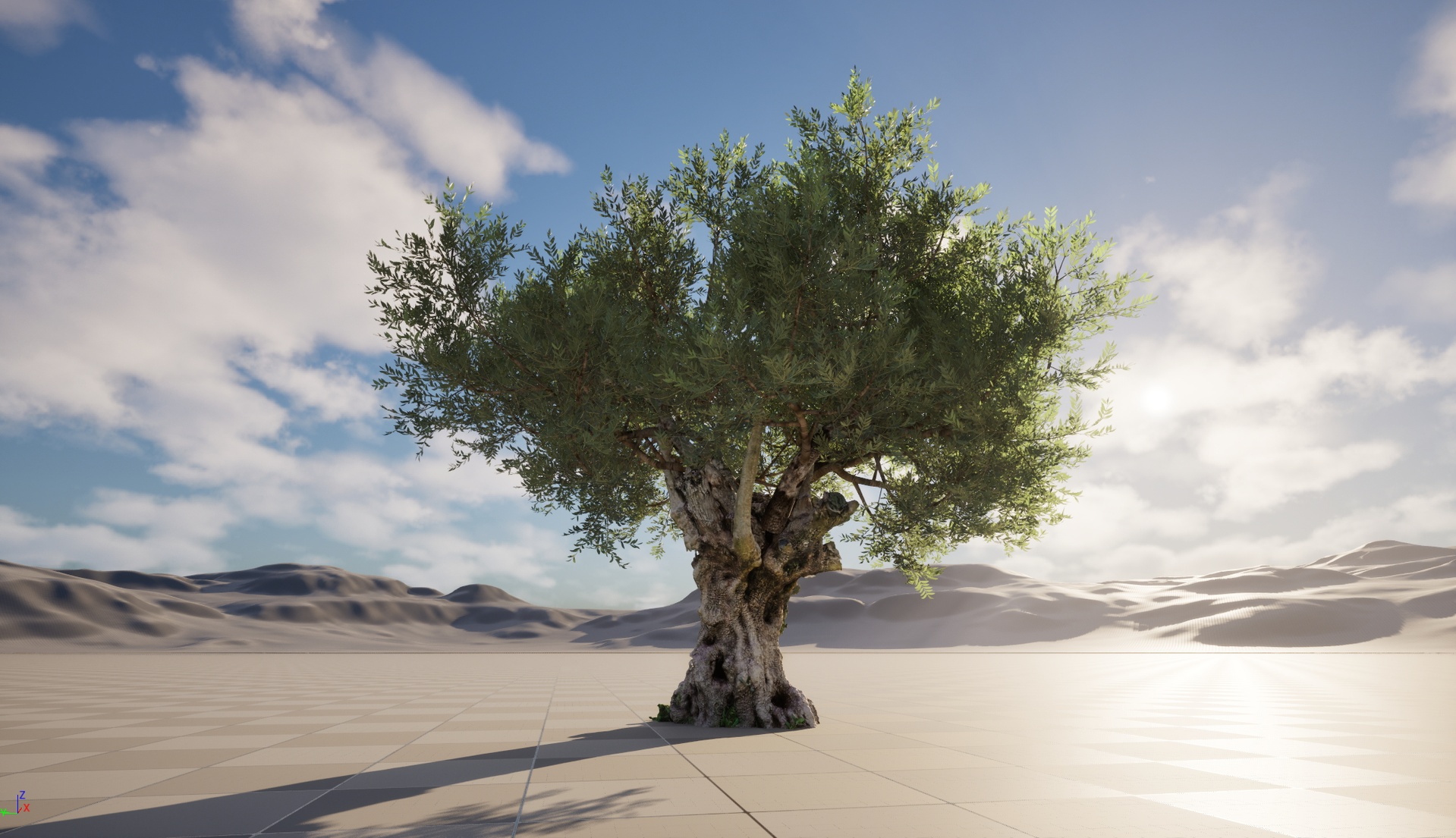 Media 1 for listing Nanite Wind Plants - Scanned Olea europaea - Common olive 05