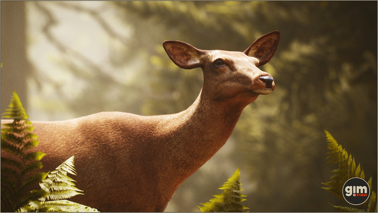 Media 1 for listing Animalia - Red Deer (female)