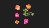 Asset image
