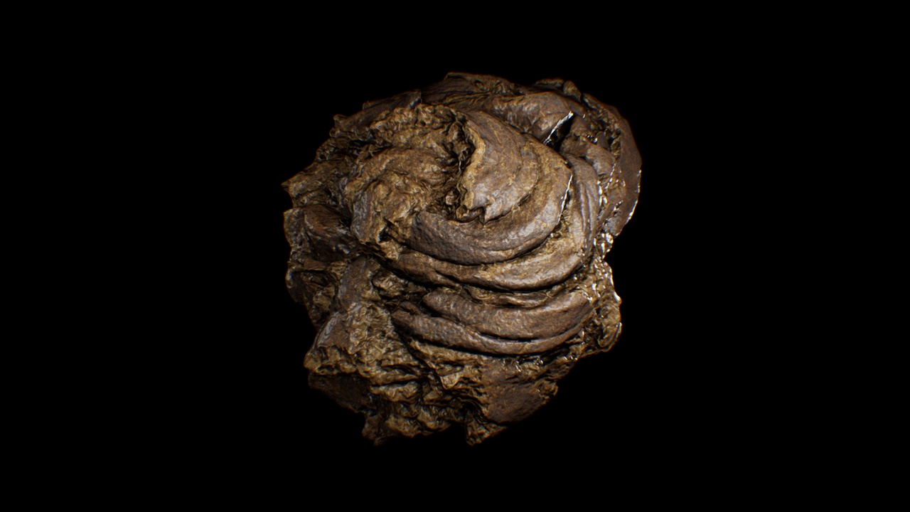 Media 1 for listing Animal Dung/Feces - Horse and Cow - Photoscan Vol 3.