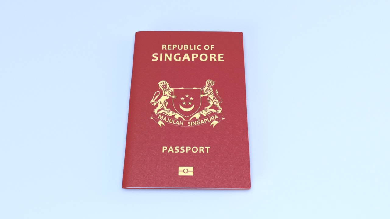 Media 1 for listing Singapore Passport Book