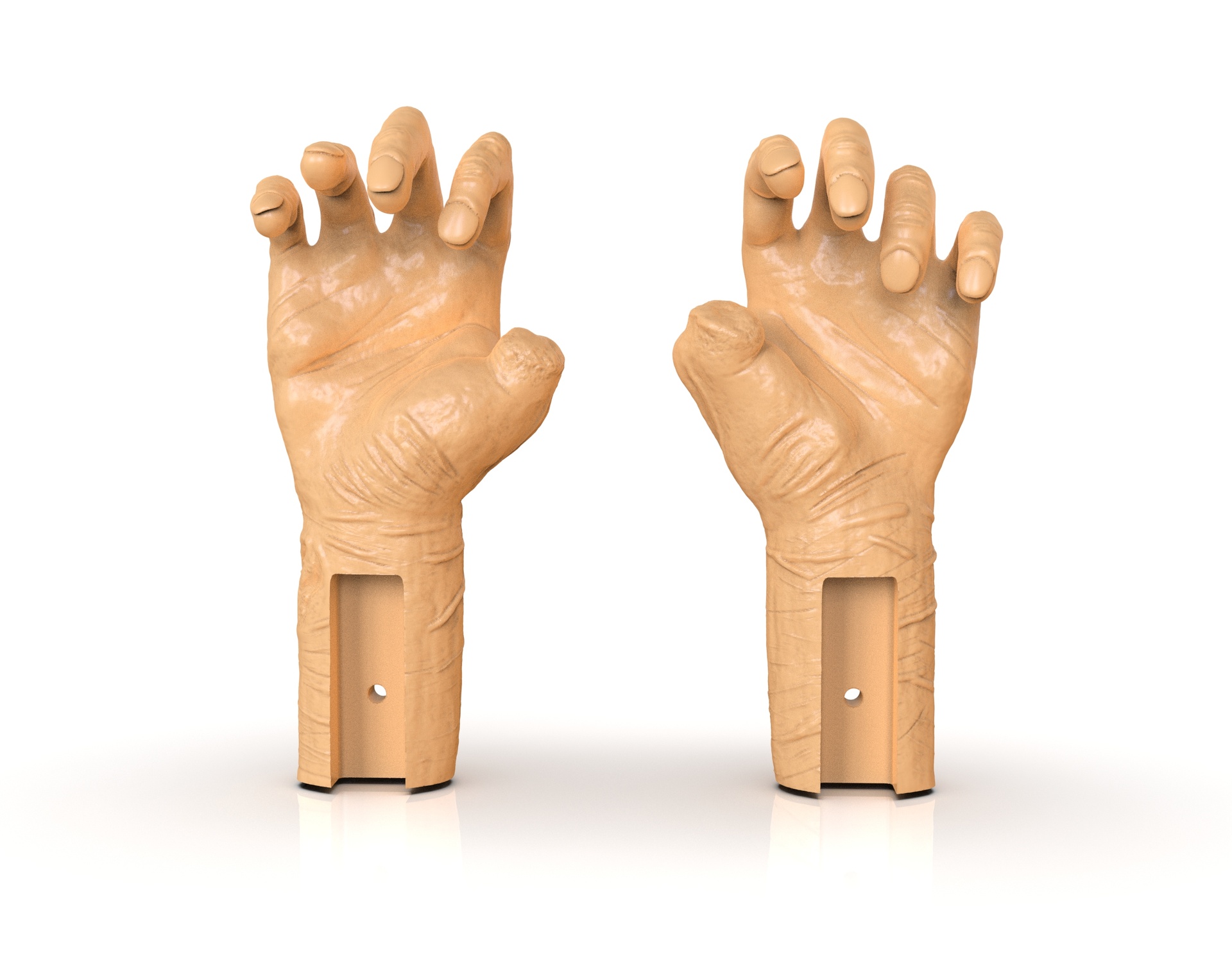 Media 1 for listing Mutilated Hand