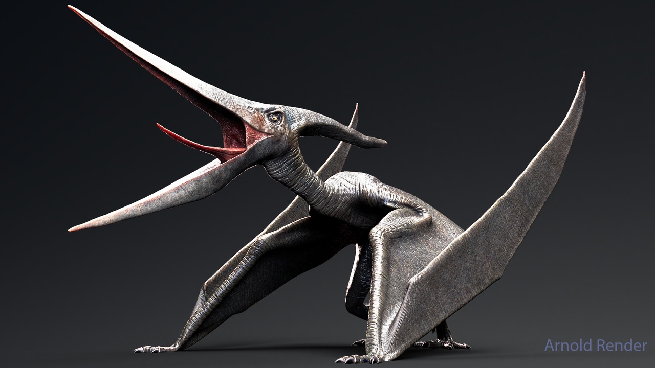 Media 1 for listing Dinosaur Pteranodon 179 Animations