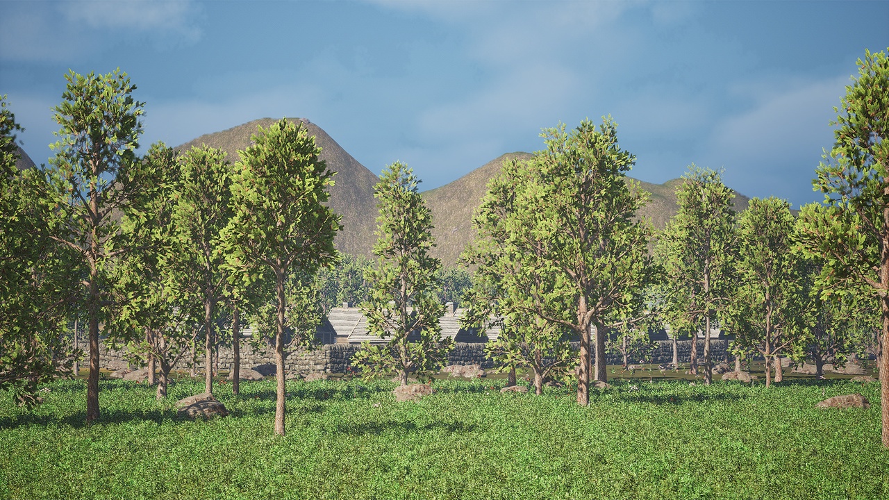 Media 1 for listing Realistic Low Poly Pine Tree Pack 79M