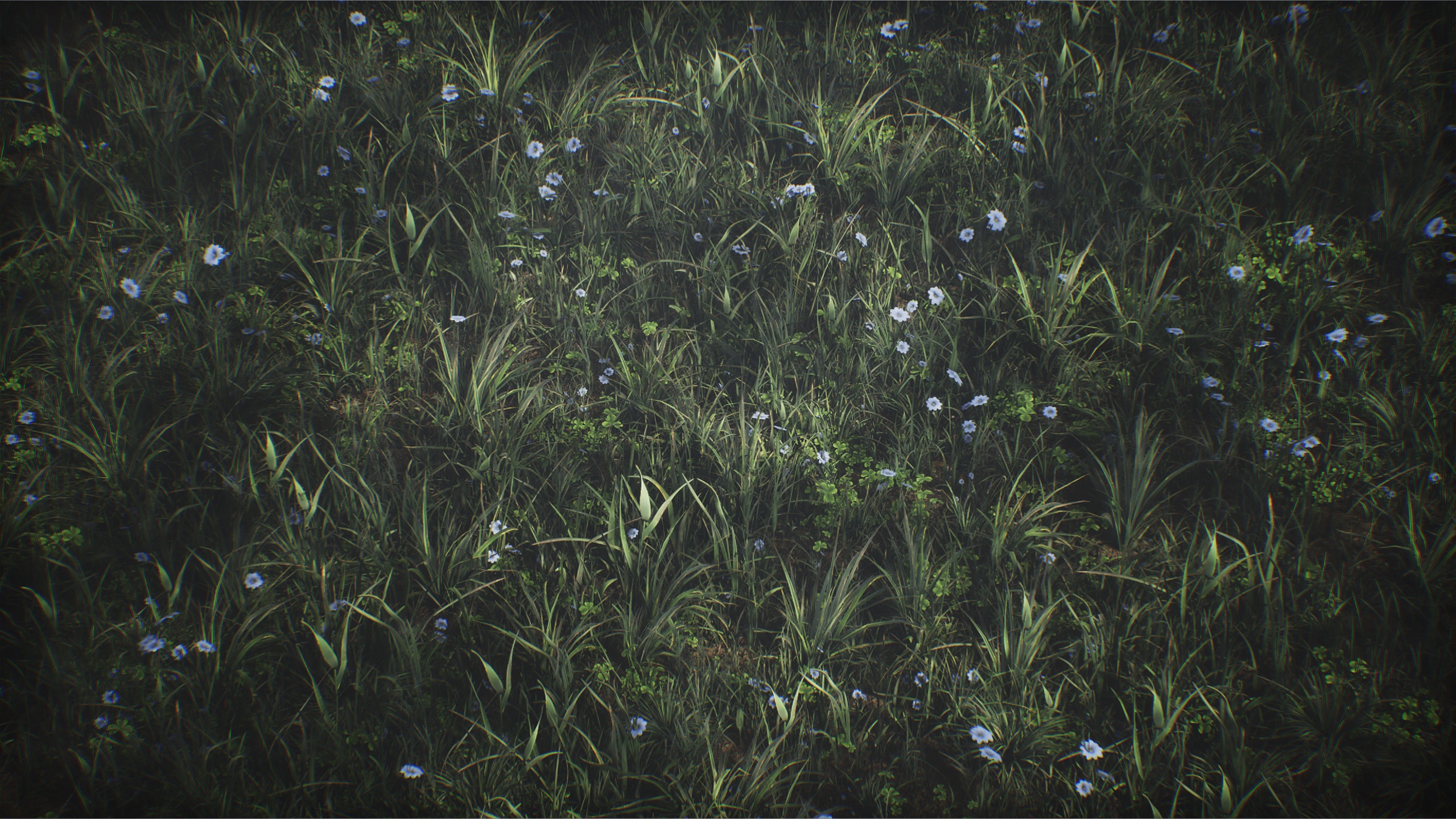 商品 Set of grass 的媒体 1