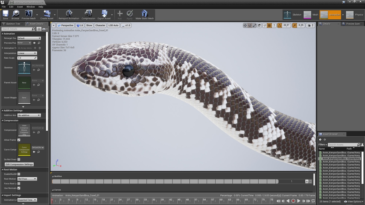 Media 1 for listing Kenyan Sand Boa