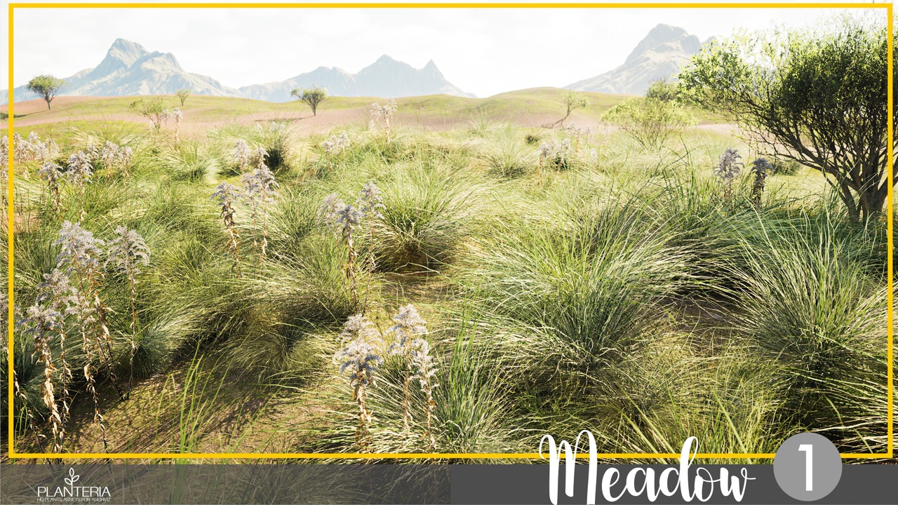Media 1 for listing Meadow 1