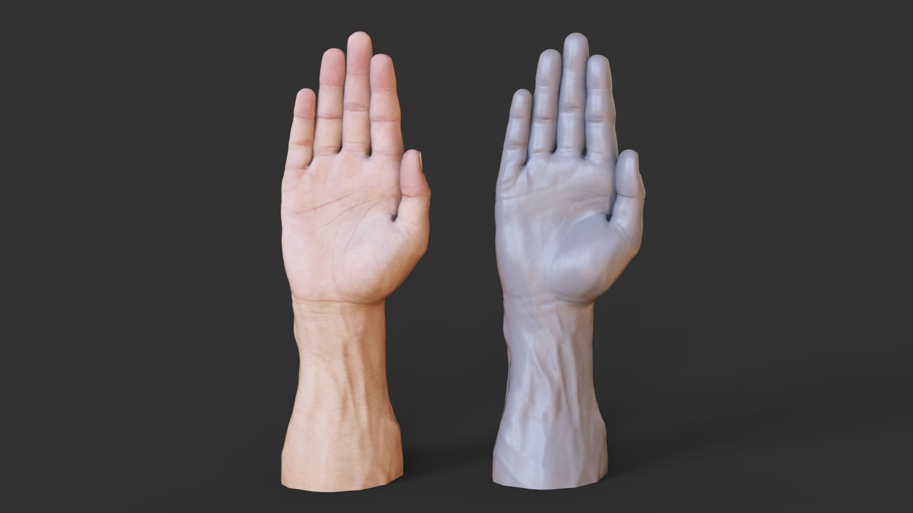 File multimediali per l'articolo Male Hand Pose - Open Palm Hand Gesture: 1
