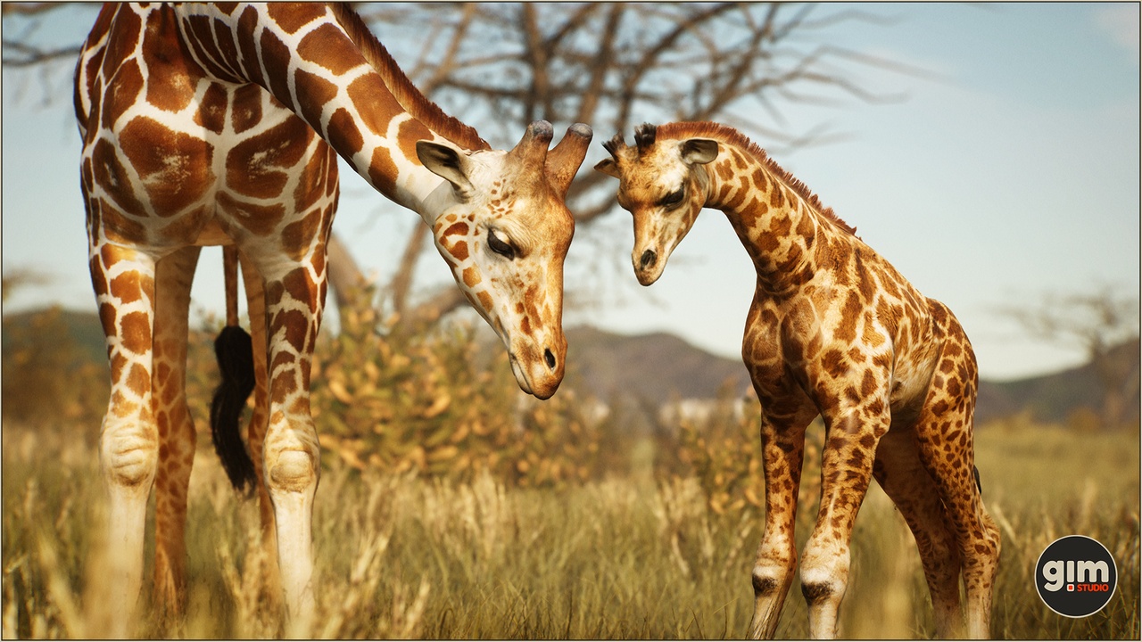 Media 1 for listing Animalia - Giraffe (pack)