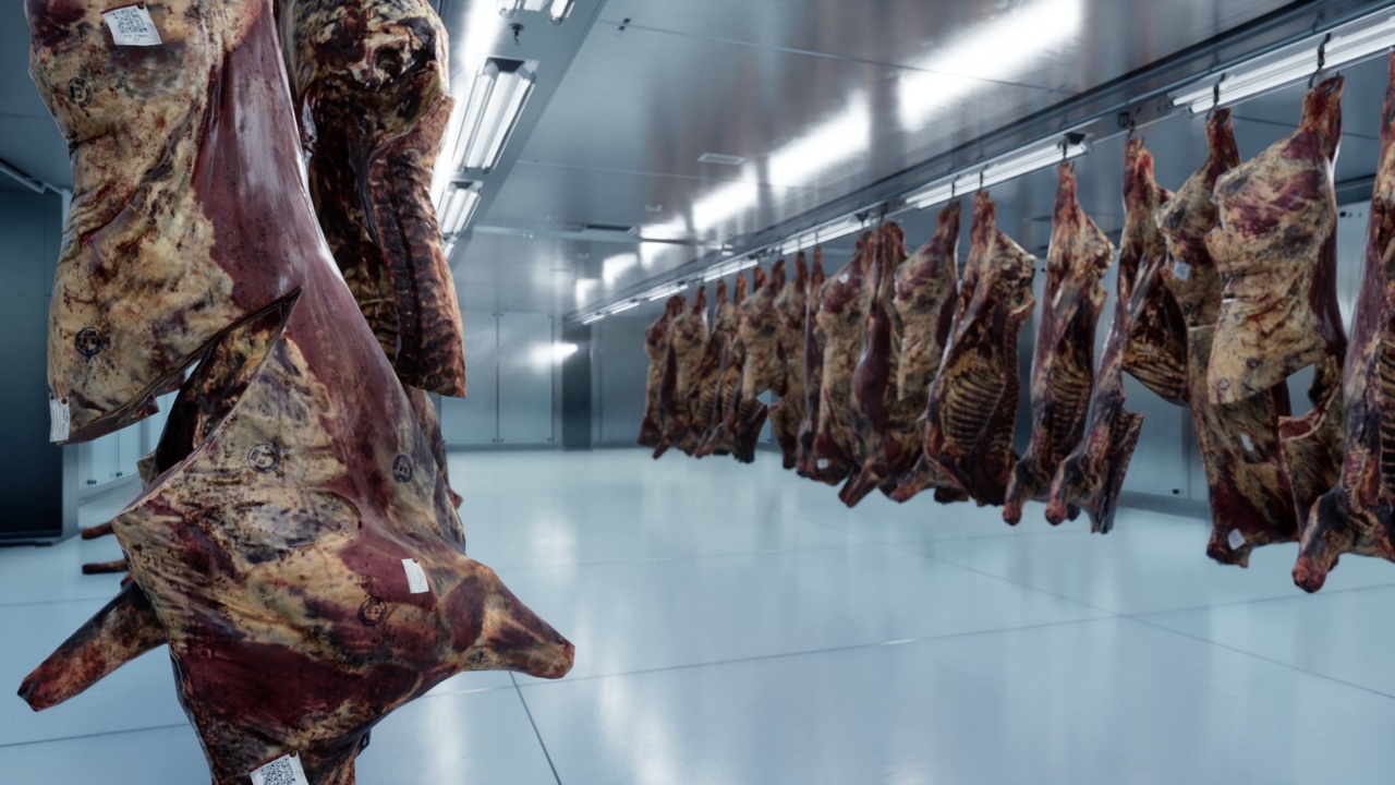 Media 1 for listing Beef Carcasses
