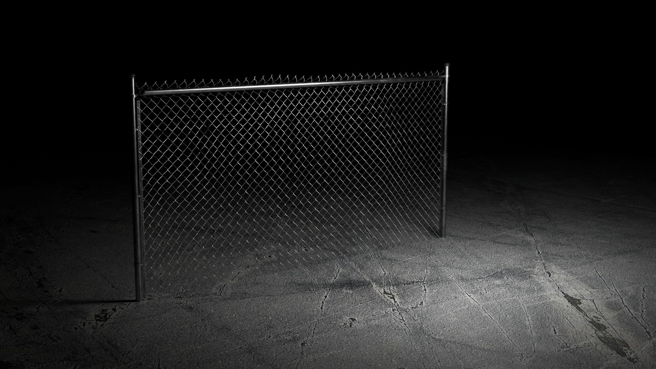 Media 1 for listing Chain Link Fence
