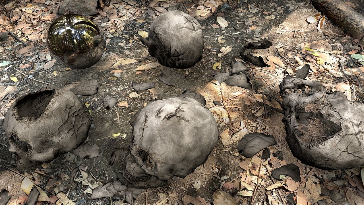 Media 1 for listing Human Skull Collection