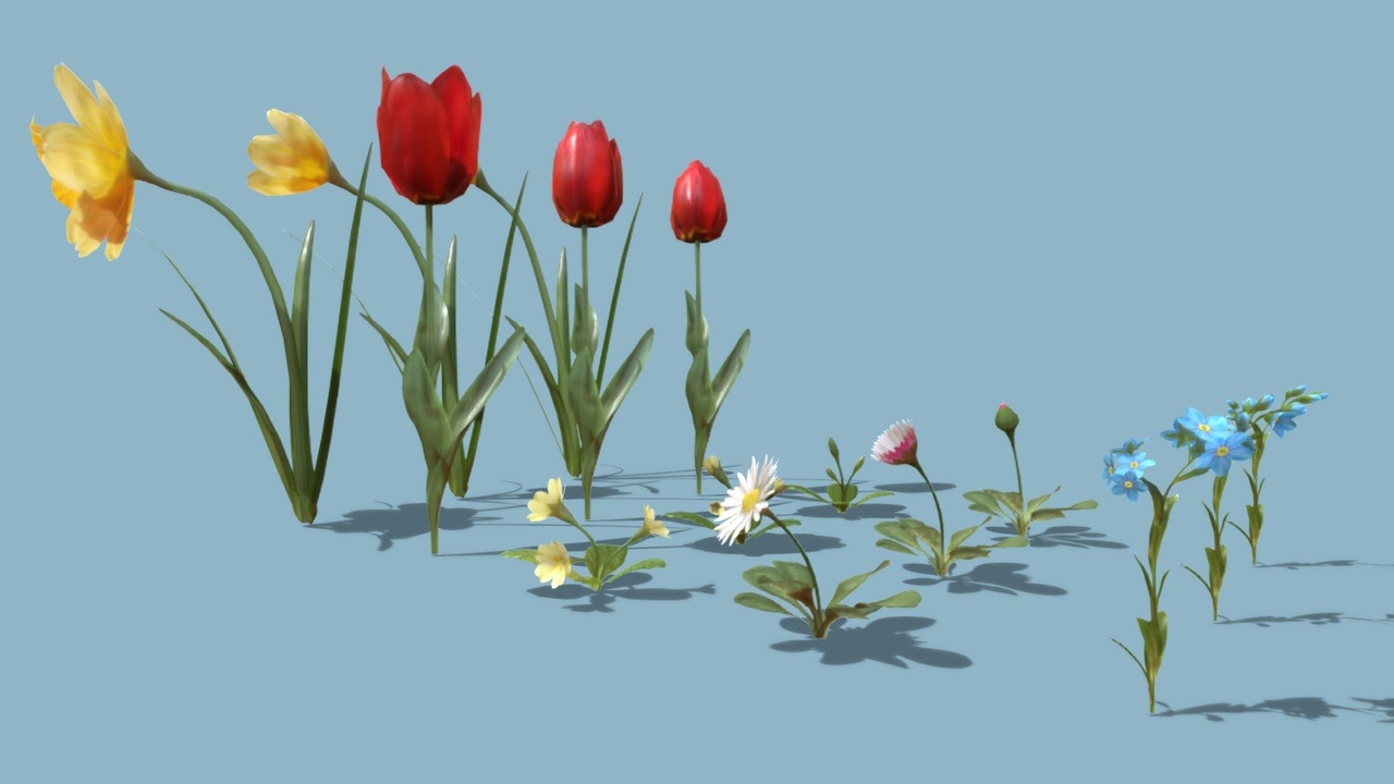 Animated Blooming Flowers Pack ilanı için 1. medya