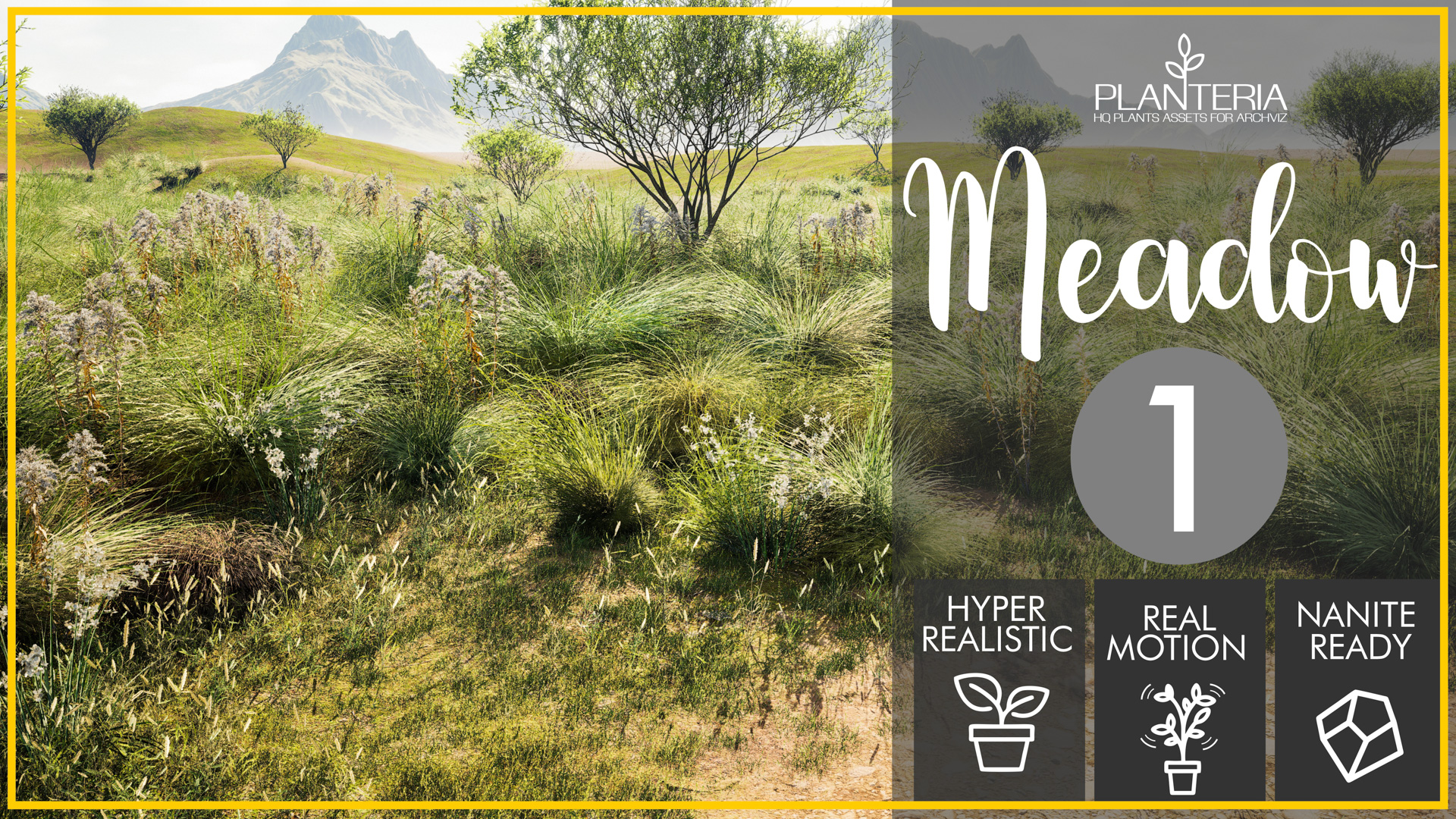 Meadow 1 | Fab