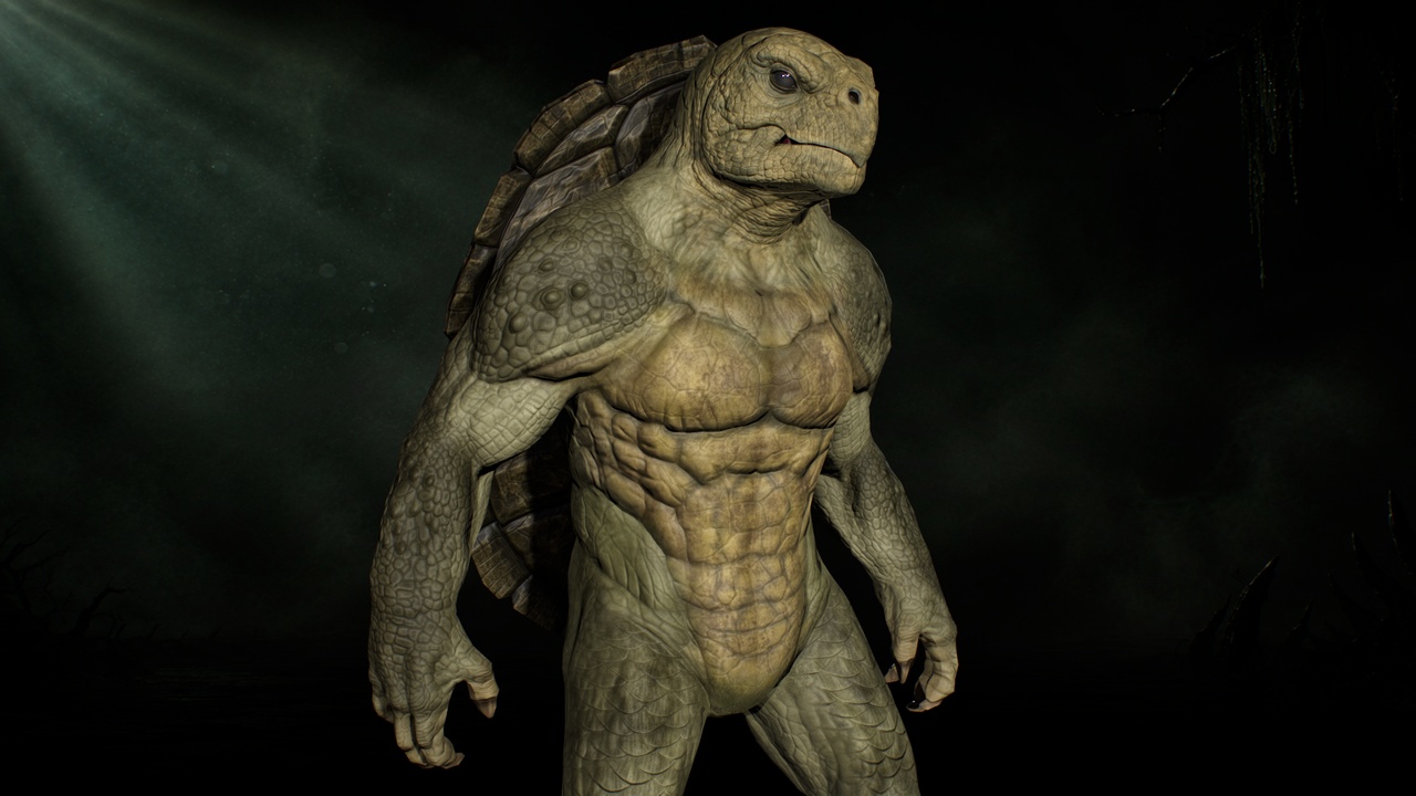 Media 1 for listing Turtle Humanoid