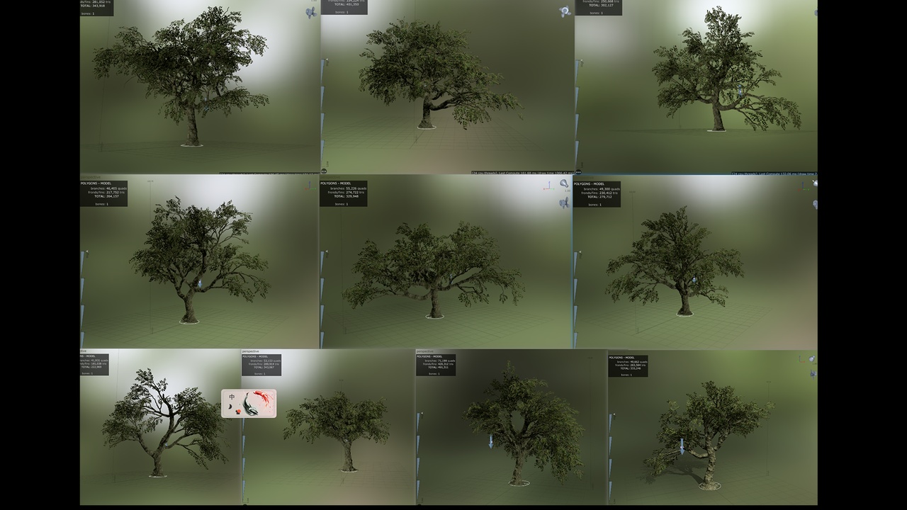 Media 1 for listing Ten Maple Trees
