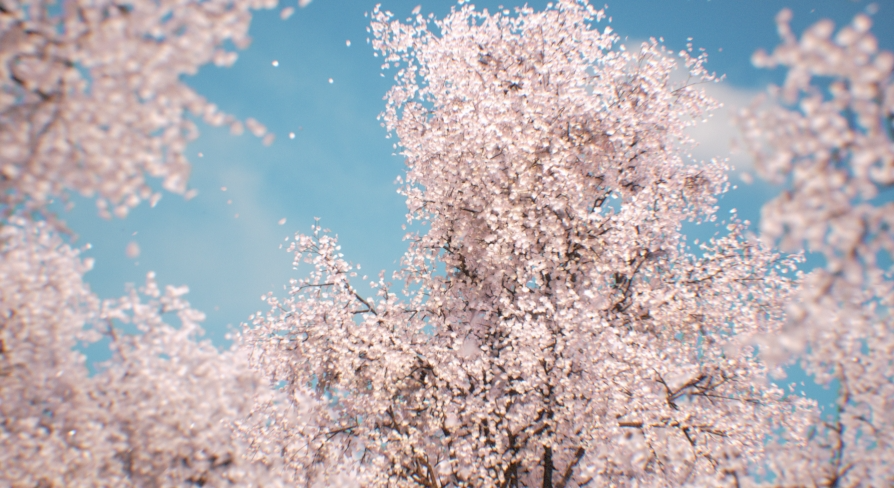 cherry blossom※プロフ確認 様　FANTASTICS Cherry blossom tree, 160 cm | DecoWoerner