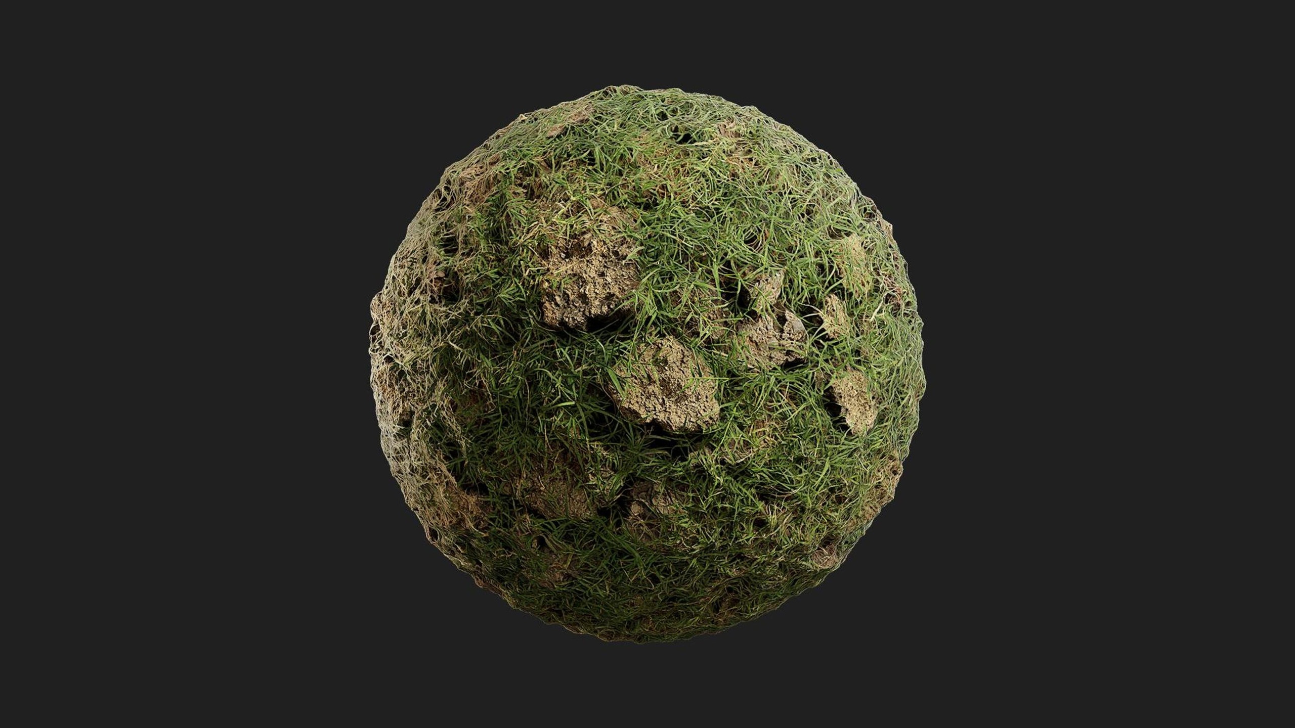 Media 1 for listing Grass