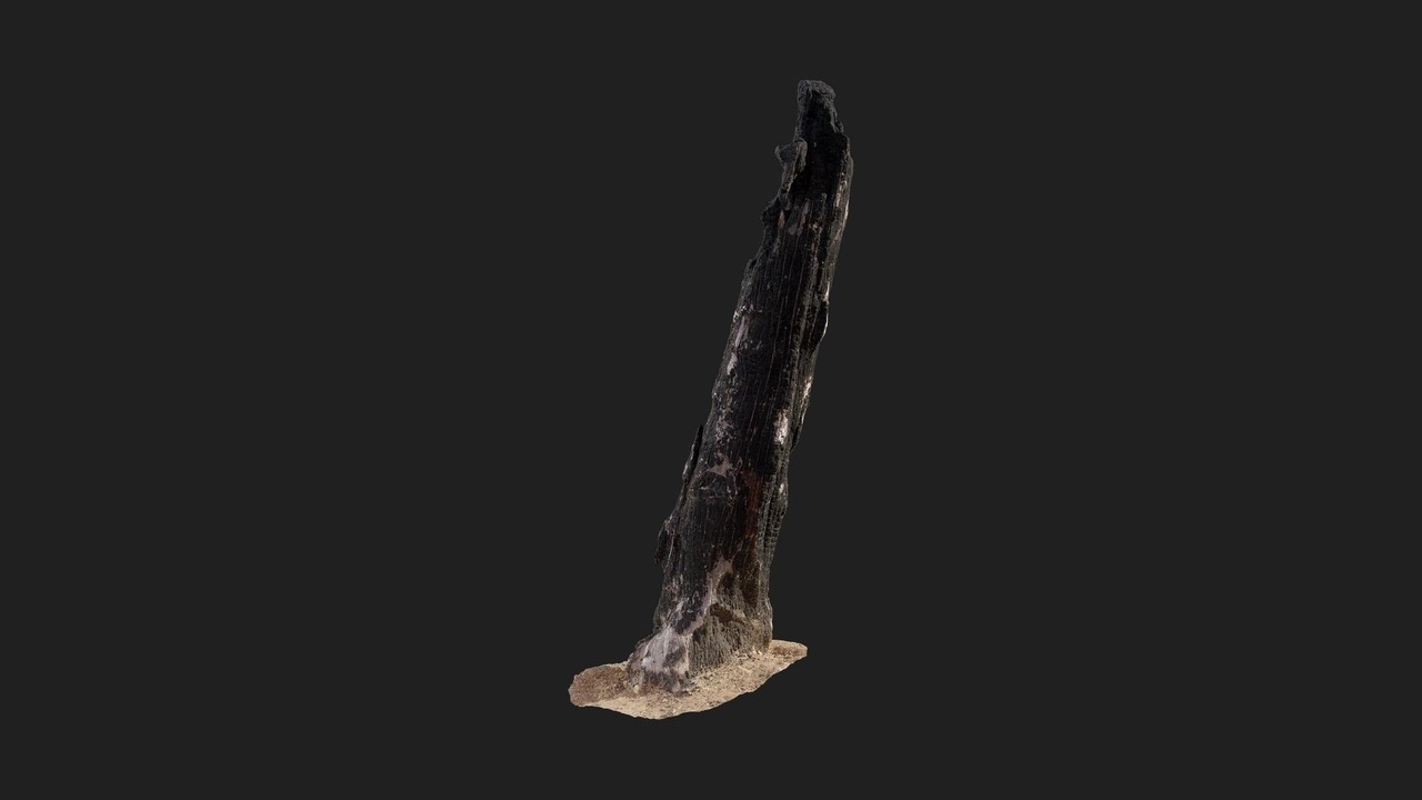 商品 Burnt Tree Trunk 的媒体 1