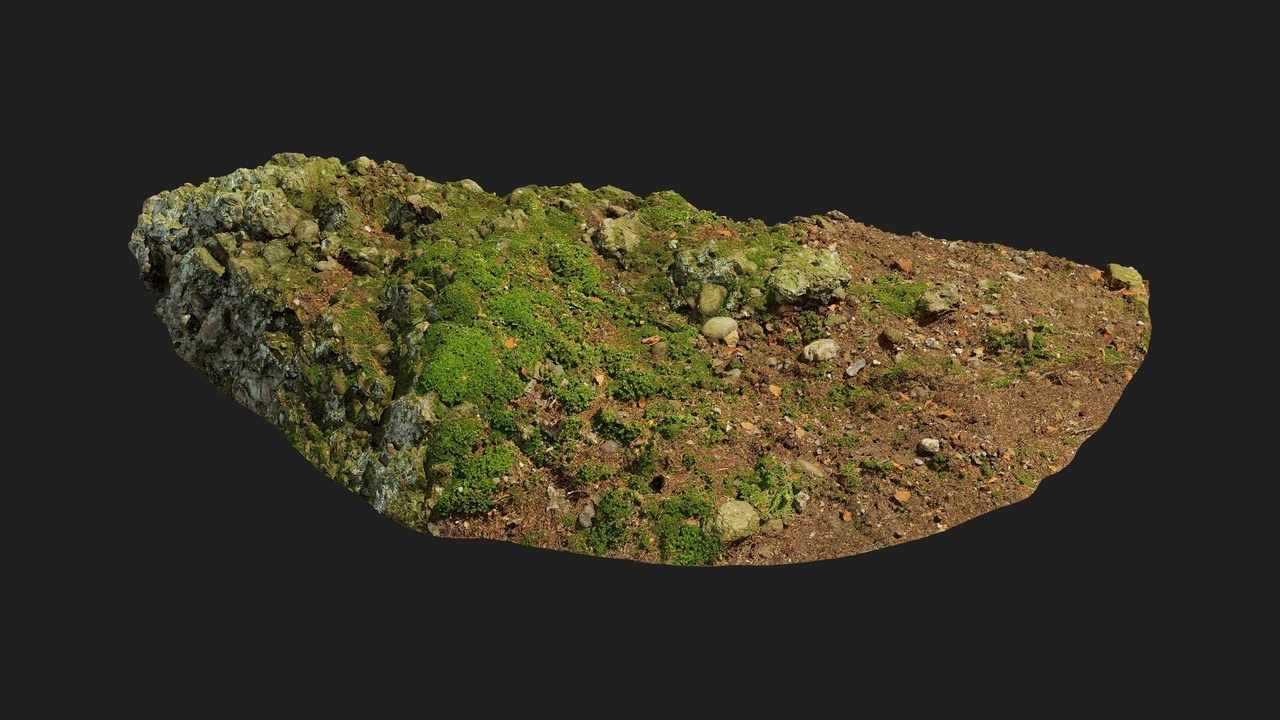 Media 1 for listing Forest European Broadleaf Ground Rock M 02