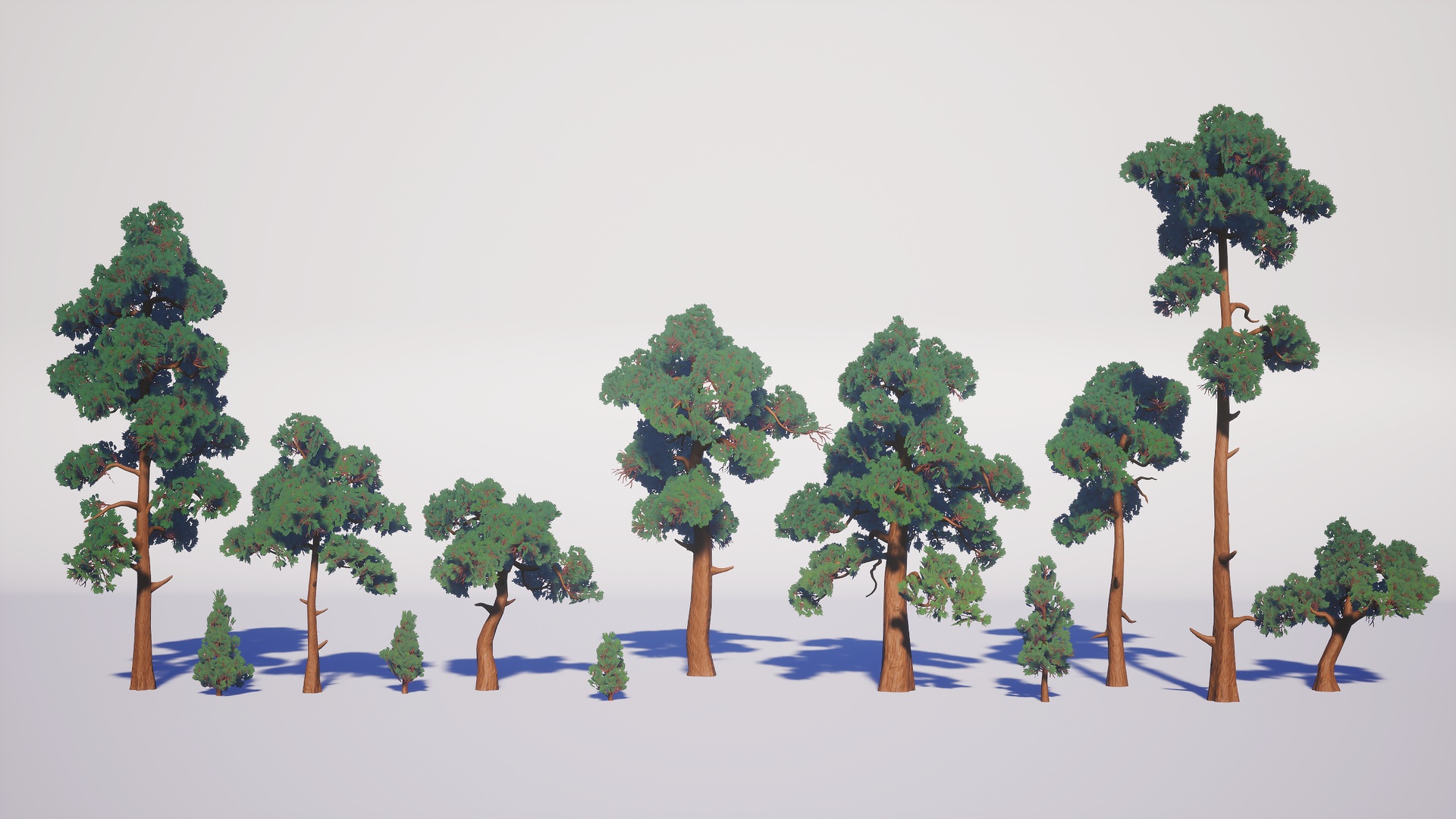 Media 1 for listing Simple Pine Pack