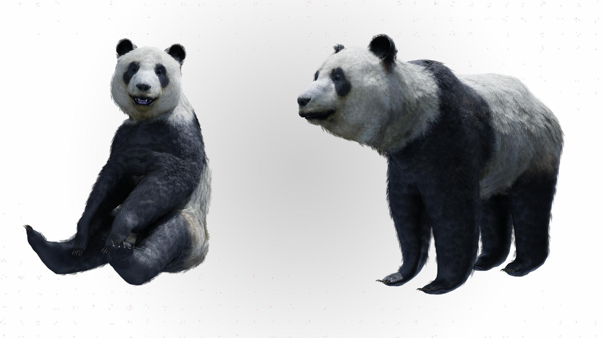 Panda AAA Aniamted & Rigged | Fab