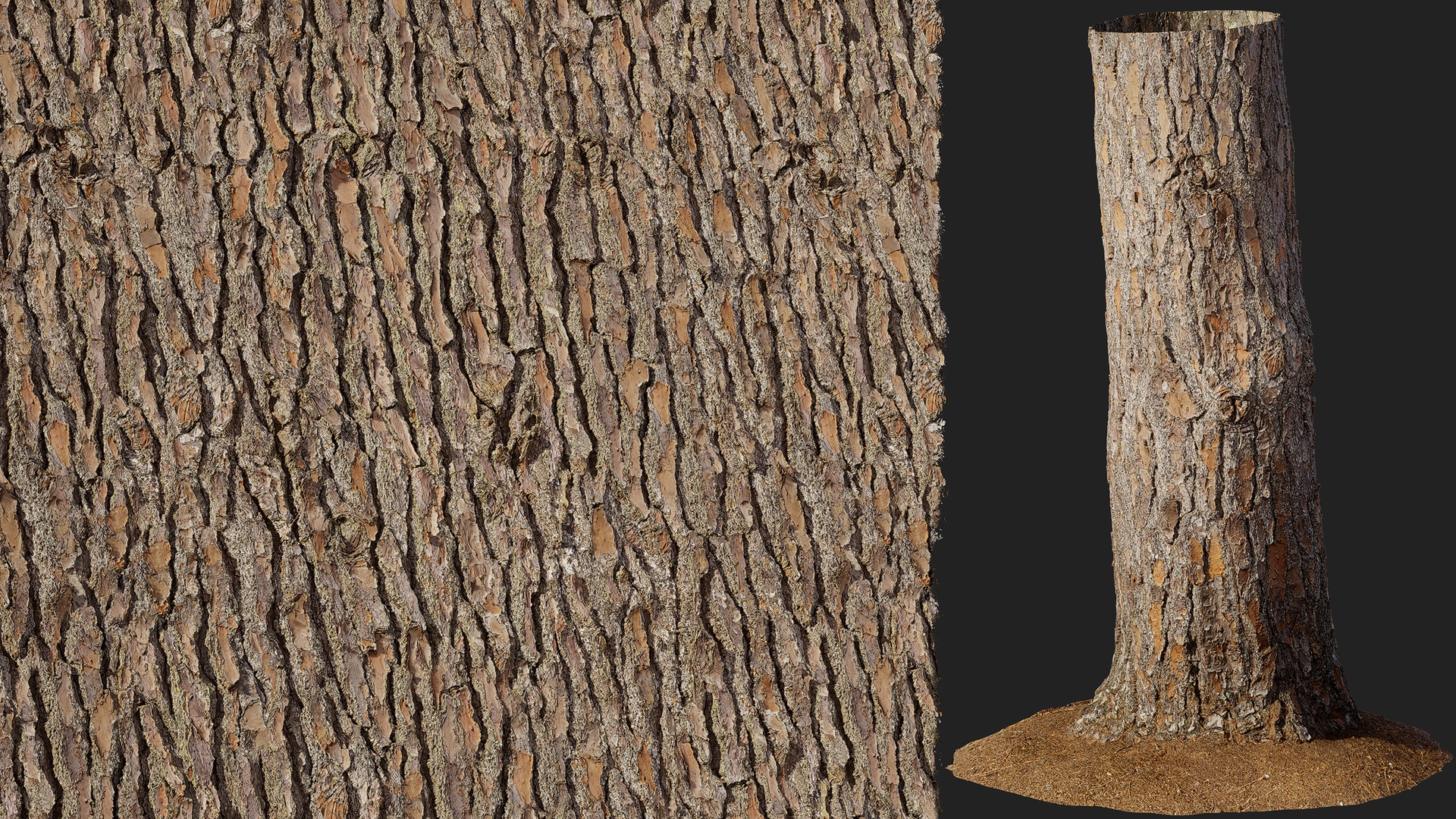 Media 1 for listing Slash Pine Bark 01