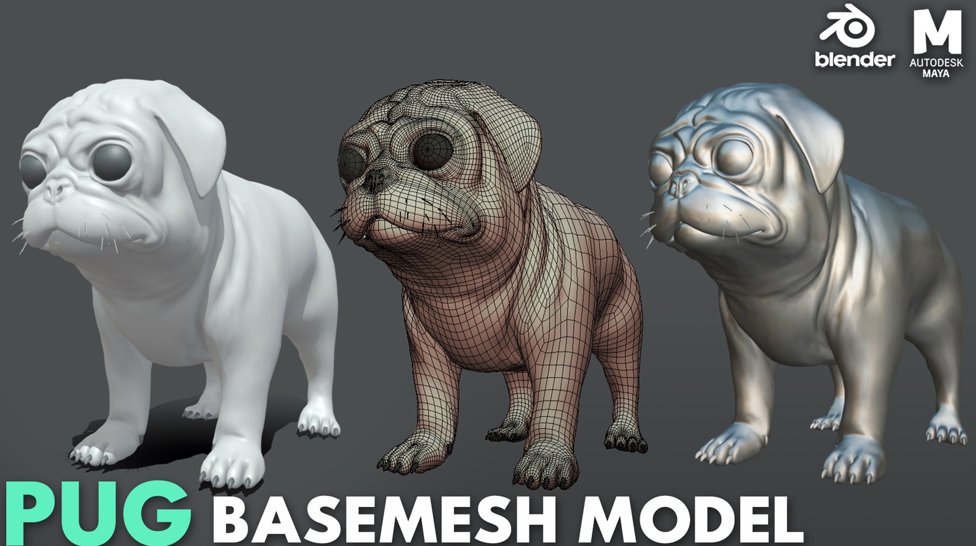 Media 1 for listing Pug Dog - Topology + UV map