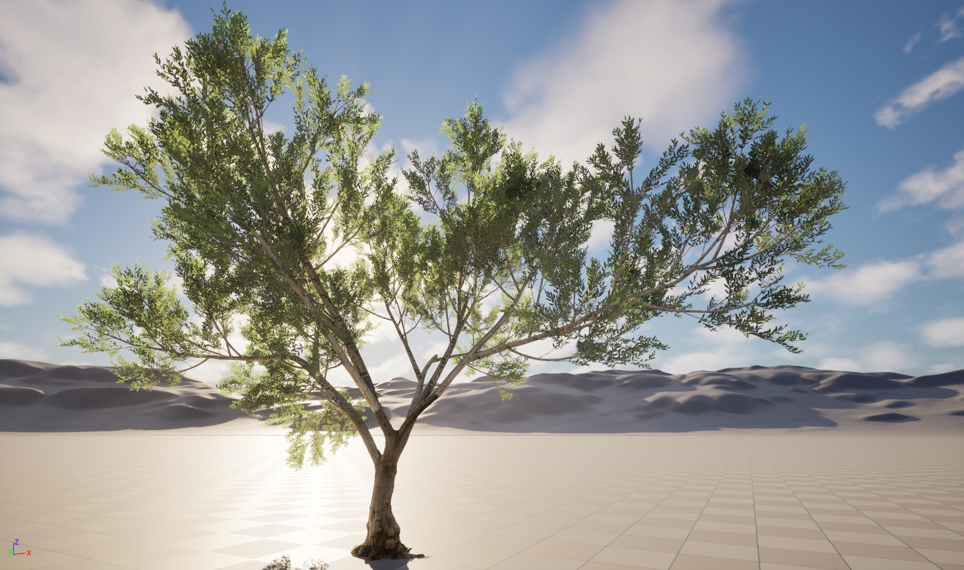 Media 1 for listing Nanite Wind Plants - Scanned Olea europaea - Common olive Pack 10